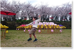 桜の舞